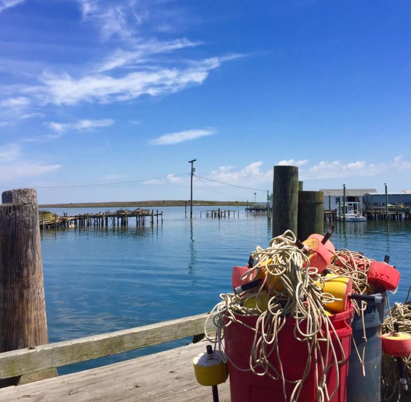 13221544_10153801053444545_7794347530904128486_n