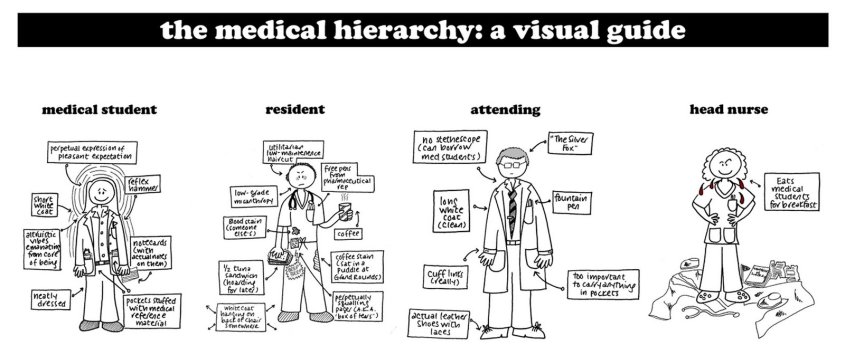 medical hierarchy